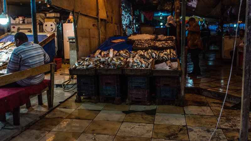 Sinnloser Tod - auf dem Fischmarkt von Hurghada