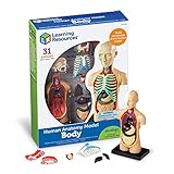 Learning Resources Anatomiemodell - Der menschliche Körper, 22.86 x 17.02 x 5.59 cm