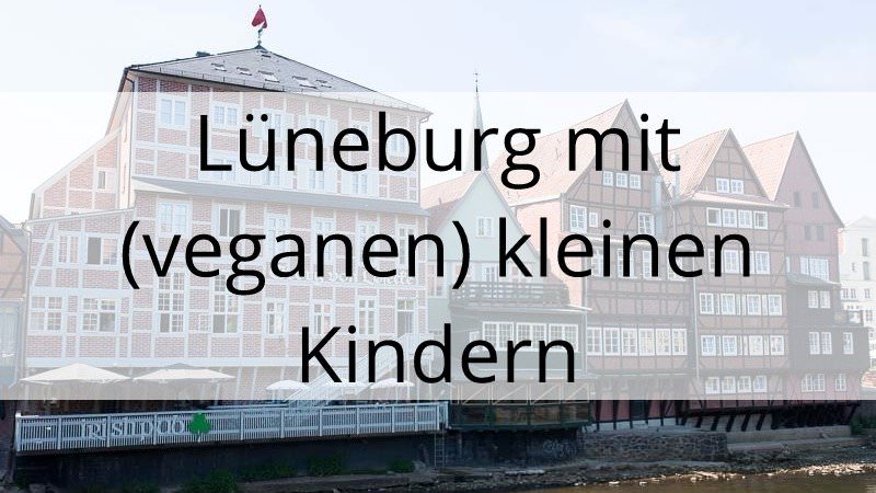 Lüneburg mit (veganen) kleinen Kindern