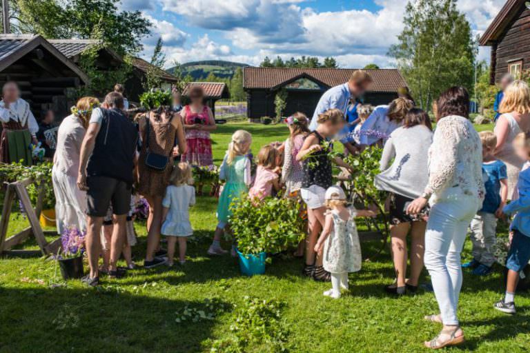 Midsommar In Schweden Torsby Oder stmark V rmland midsommar-in-schweden-torsby-oder-stmark-v-rmland