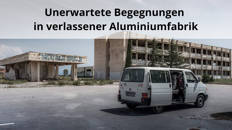 Unerwartete Begegnungen in verlassener Aluminiumfabrik