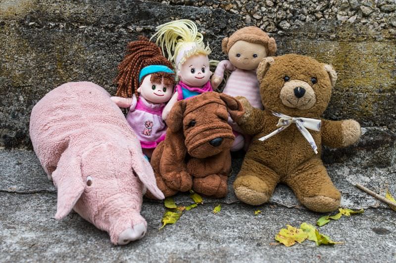 Puppen und Plüschtiere: Teddy, Ikea-Schwein, Stoffhund, Püppchen