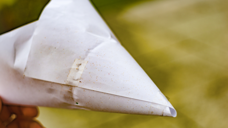Obstfliegenfalle selber machen: Papiertrichter mit Klebeband fixiert und bleistiftgroßer Öffnung