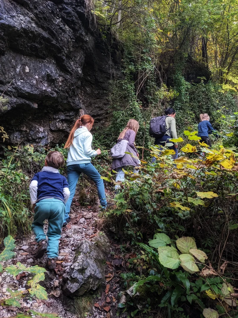 Eine Gruppe von Kindern und Erwachsenen steigt einen schmalen felsigen Waldweg hinauf.
