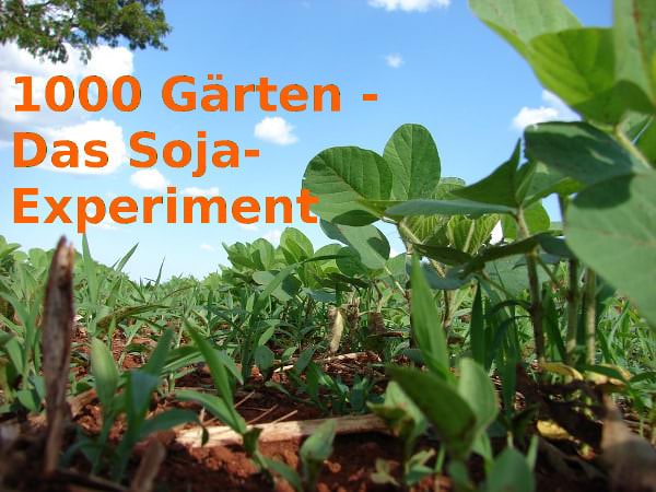1000 Gärten – Das Soja-Experiment