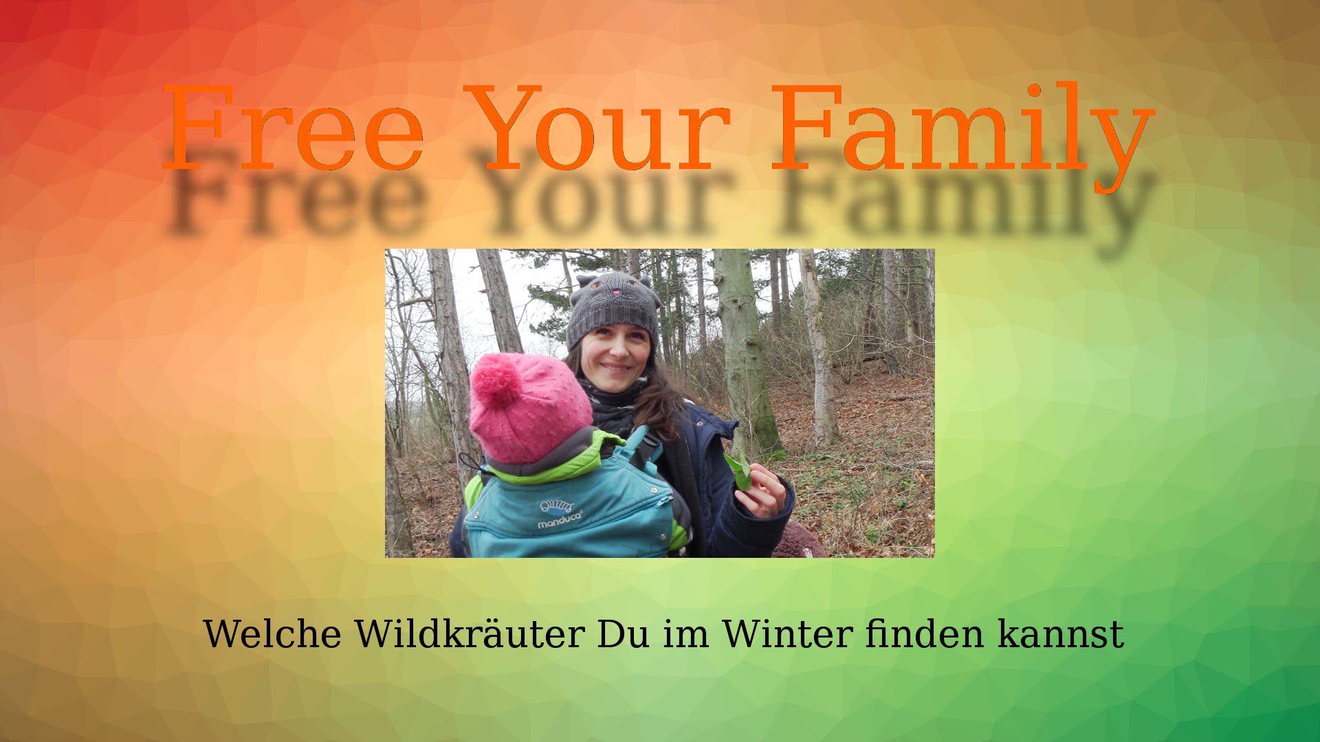 Welche Wildkräuter Du im Winter finden kannst