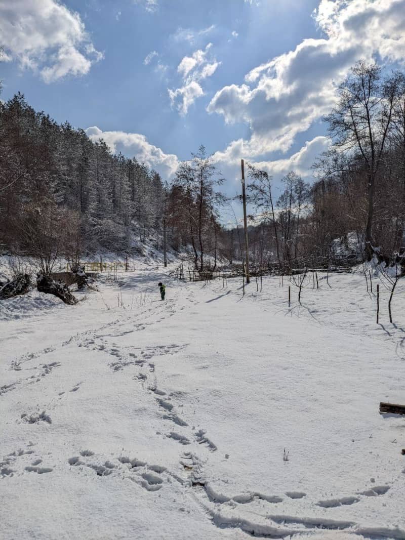 Schneebedeckte Landschaft in Rumänien