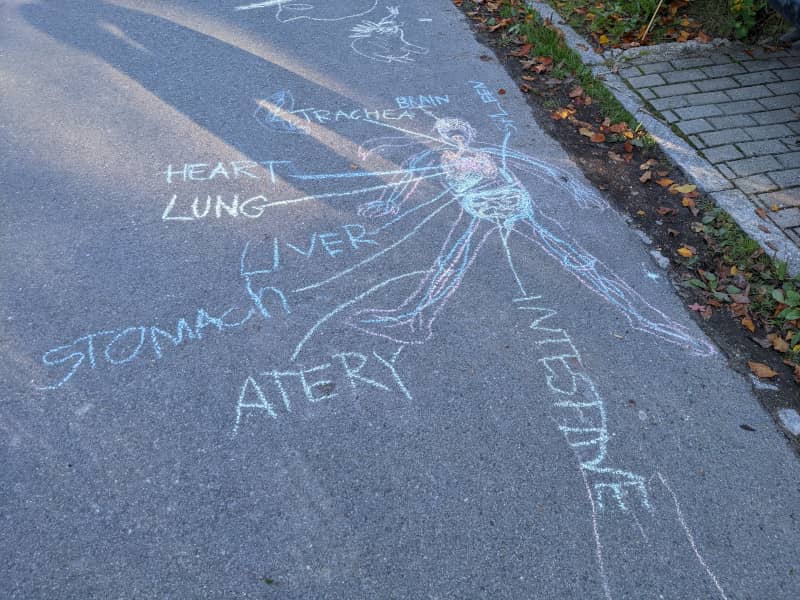 Straßenmalerei: Anatomie des Menschen